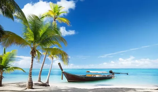 دانلود تصویر نخل و قایق در ساحل دانلود تصویر نخل و قایق در ساحل